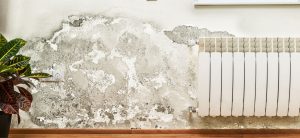 damage on the wall caused by damp